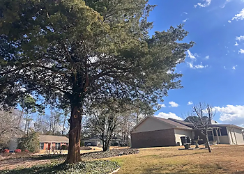 Columbus Tree Services Tree MD Local tree care