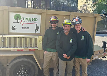 Tree MD Local tree care LLC - Columbus, GA Tree Services - Team Working Image