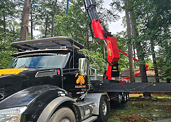 Tree Master of Savannah Inc. Savannah Tree Services image 1