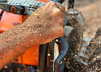 Roseville Tree Services TreeMax