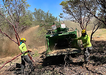 Santa Rosa Tree Services TreePro Professional Tree Care