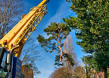 Phoenix Tree Services Tree Pros, LLC