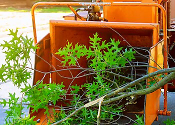 Phoenix Tree Services Tree Pros, LLC