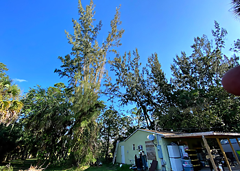 West Palm Beach Tree Services Tree Service Inc.