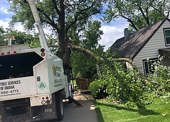 Omaha Tree Services Tree Services of Omaha