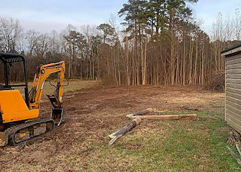Norfolk Tree Services Tree Stump Removal and Excavation