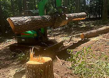 Norfolk Tree Services Tree Stump Removal and Excavation