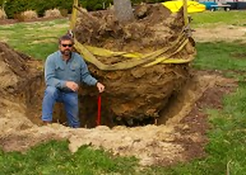 Hampton Tree Services Tree Surgeons Unlimited, Inc.