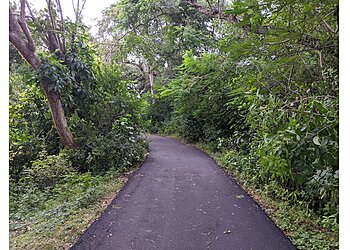 Pembroke Pines Hiking Trails Tree Tops Park