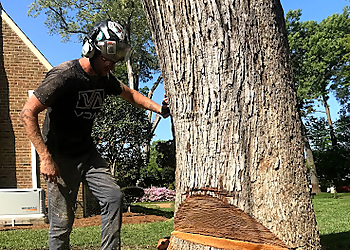 Chesapeake Tree Services Tree Tops Tree Service
