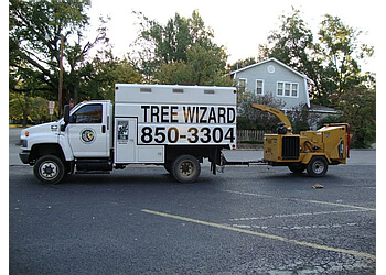 Tree Wizard  Norman Tree Services