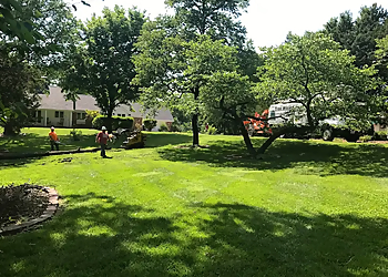 Columbia Tree Services Tree Wizard, Inc.