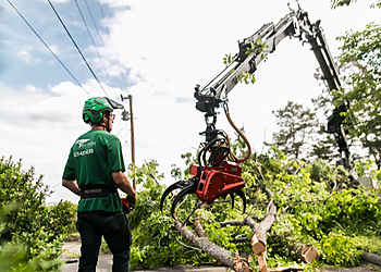 Chattanooga Tree Services Tree Worx