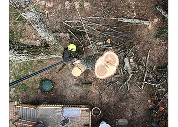 Tree Worx in Chattanooga ThreeBestRated