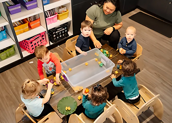 Omaha Day Cares Treefort Drop In Hourly Child Care