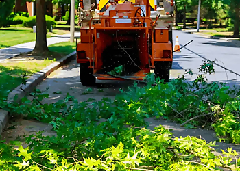 Sterling Heights Tree Services Treemendous Tree Care LLC
