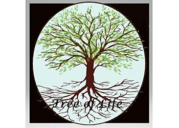 Rochester Therapists Dr. Mary MacLeod, PhD, LCSW-R, CGP, ACS - TREE OF LIFE COUNSELING LCSW, PLLC