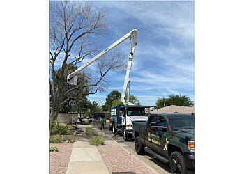 Albuquerque tree service Treepros, LLC