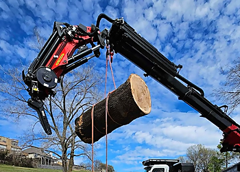 Tulsa Tree Services Trees By Jake