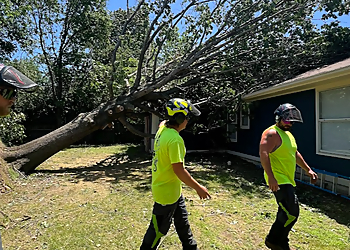 Tulsa Tree Services Trees By Jake