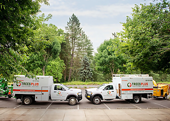Trees Plus Northwest Salem Tree Services image 1