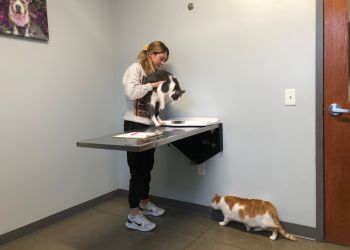 Cleveland Veterinary Clinics Tremont Animal Clinic