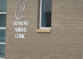 Cleveland veterinary clinic Tremont Animal Clinic