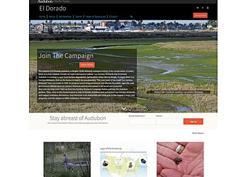 Long Beach Web Designers Trevor Ali