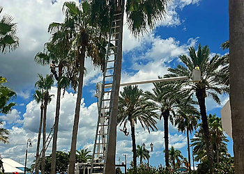 Tri-Brothers Tree & Landscape Service  - Port St Lucie, FL Tree Services - Maintenance Service Image