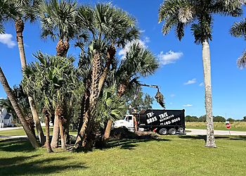 Tri-Brothers Tree & Landscape Service  - Port St Lucie, FL Tree Services - Service Image