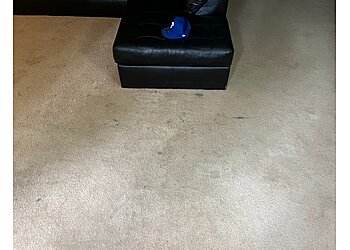 Triad Carpet Guys LLC Greensboro Carpet Cleaners image 1