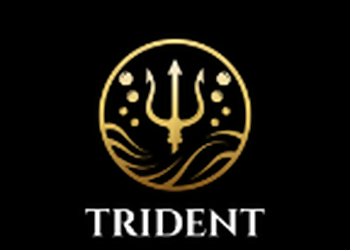 Trident Cleaning Pros Trident Cleaning Pros - Chula Vista, CA Commercial Cleaning Services - Company Logo