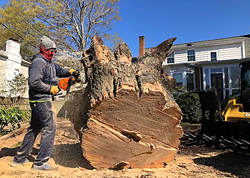 Trim Pro Tree & Landscaping - High Point, NC Tree Services - Field Work Image