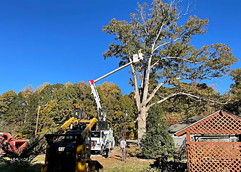 Trim Pro Tree & Landscaping - High Point, NC Tree Services - Service Image