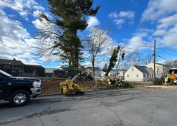 Paterson Tree Services Triple AAA Tree's Landscaping