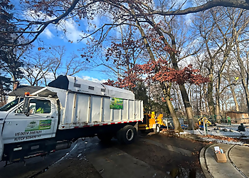 Triple AAA Tree's Landscaping Paterson Tree Services image 1