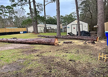 Beaumont Tree Services Triple R Tree Service