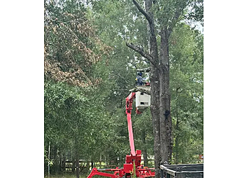 Beaumont Tree Services Triple R Tree Service