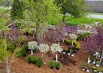 Springfield Landscaping Companies Tripp Landscaping