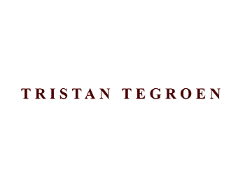 Thousand Oaks Divorce Lawyers Tristan teGroen - TRISTAN TEGROEN LAW
