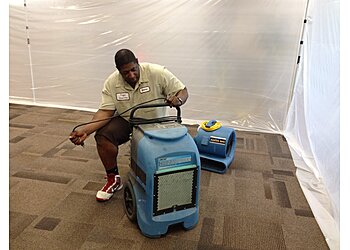 Pasadena Carpet Cleaners Trojan Carpet Care