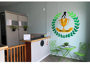 Chicago Pet Grooming Trophy Paws