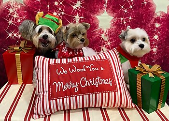 Chicago Pet Grooming Trophy Paws Pet Grooming