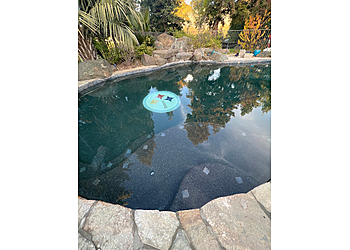 Tropical Pool Service - Fresno, CA Pool Services - Service Highlights
