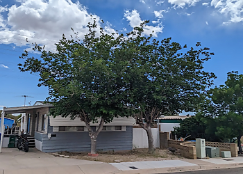 North Las Vegas Tree Services Troys tree service LLC