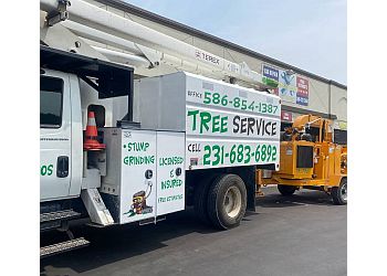 Trspros LLC Stump grinding & Tree service Sterling Heights Tree Services image 1