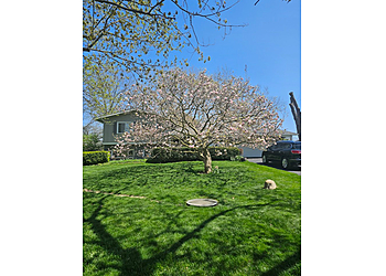 Fort Wayne Lawn Care Services TruGreen Lawn Care