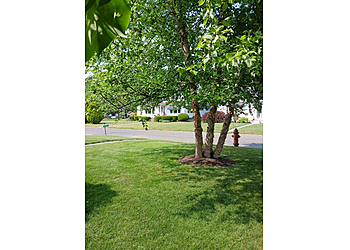 Springfield Lawn Care Services TruGreen