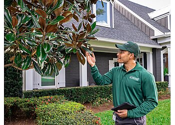 Dallas Lawn Care Services TruGreen Lawn Care