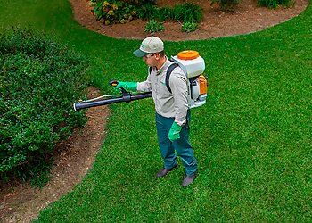 Lincoln Lawn Care Services TruGreen Lawn Care
